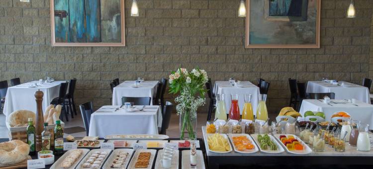 安托法加斯塔NH酒店(NH Antofagasta)图片