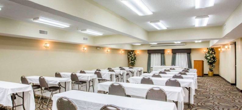 舒适套房酒店(Comfort Suites)图片