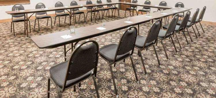 Wingate by Wyndham DFW / North Irving图片