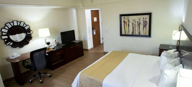 蒙特雷中心贝斯特韦斯特酒店(Best Western Centro Monterrey)图片