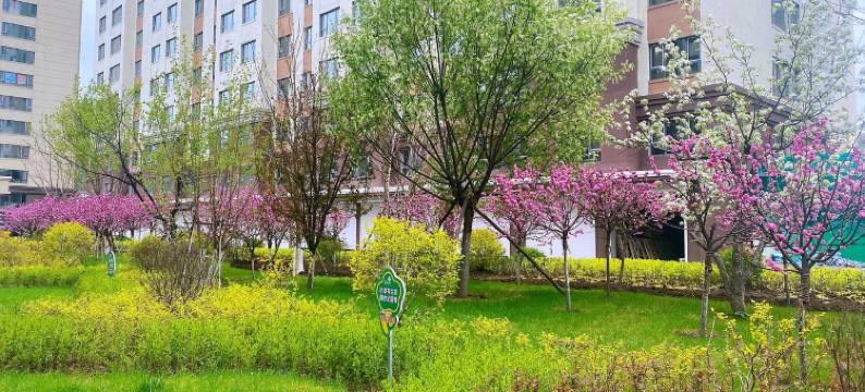 房东瑤瑤公寓(滨江南街分店)图片