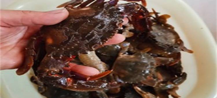 青岛龙湾海时光民宿(龙汇路分店)图片