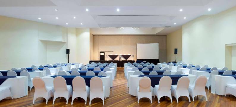 哥斯达黎加圣何塞丽笙酒店(Radisson San Jose Costa Rica)图片