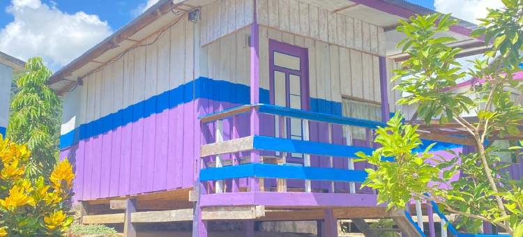 Mini Villa Zulu图片