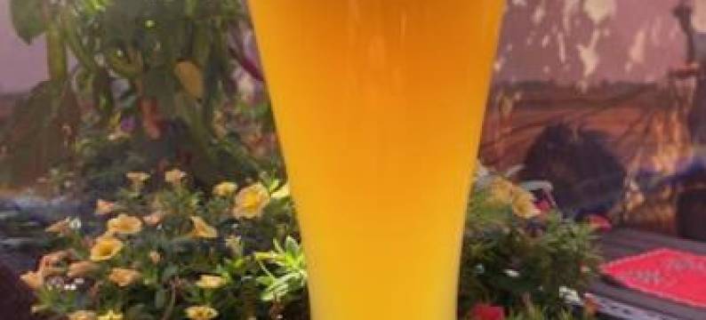 兹布鲁内恩酒店(Hotel Zum Ziehbrunnen)图片