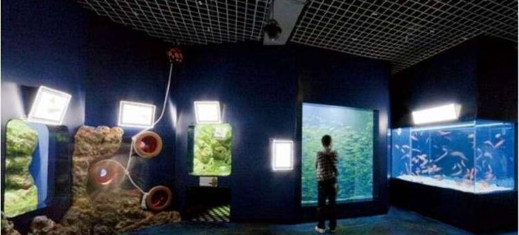 川奈酒店(Kawana Hotel)图片