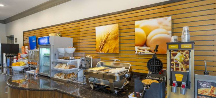 夏洛特港-蓬塔戈尔达舒适套房酒店(Comfort Inn & Suites Port Charlotte-Punta Gorda)图片