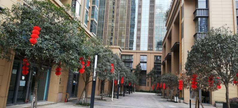 成都水凼凼鲜花酒店世纪城会展店图片