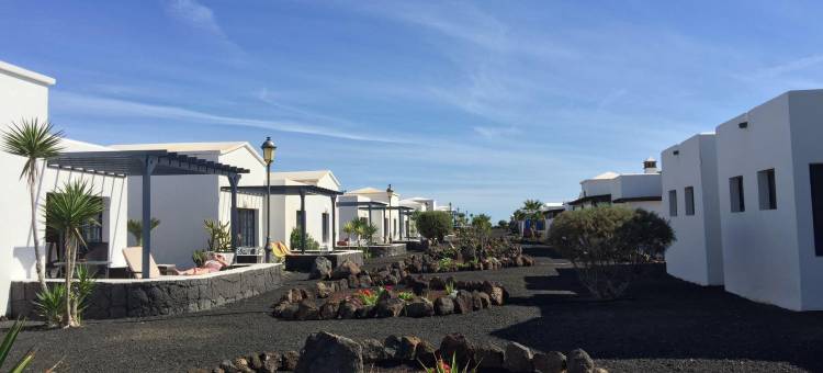 Vik Coral Beach图片