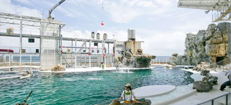 大江户温泉物语高级城崎(Ooedo Onsen Monogatari Premium Kinosaki)图片