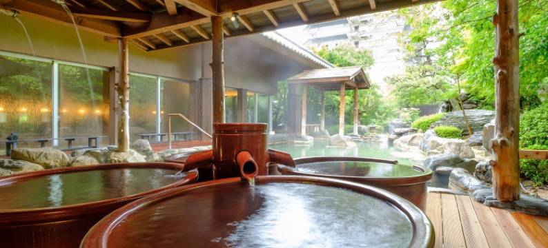 三朝馆旅馆(Misasakan)图片