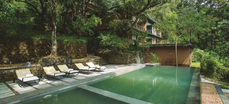 热带雨林度假村(Rainforest)图片