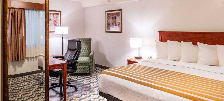 维斯塔机场贝斯特韦斯特酒店(Best Western Vista Inn at the Airport)图片