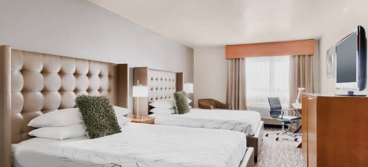 胡椒树机场贝斯特韦斯特优质酒店(Best Western Plus Peppertree Airport Inn)图片