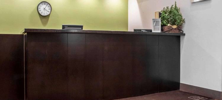 布雷斯桥斯利普酒店(Comfort Inn)图片