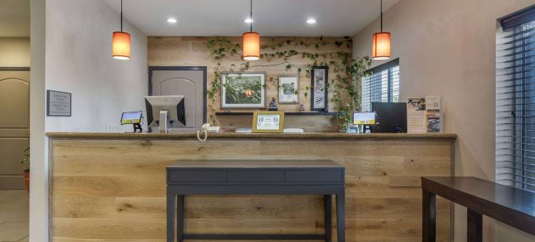 圣彼得斯卡尔森乡村酒店及套房(Country Inn & Suites by Radisson, St Peters, MO)图片