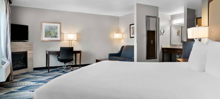 Best Western Plus Flint Airport Inn  Suites图片