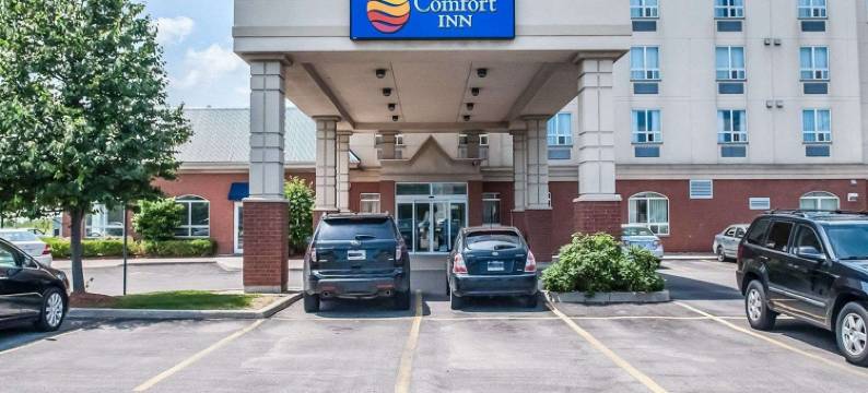 舒适酒店(Comfort Inn)图片