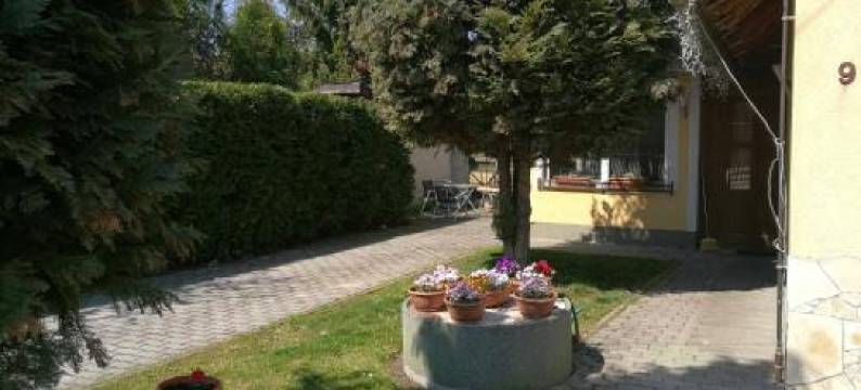 Gergely Vendeghaz图片