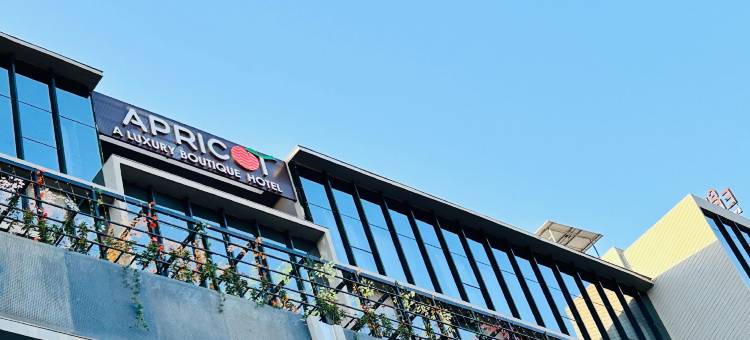 莫特拉杏子酒店(Apricot Motera)图片