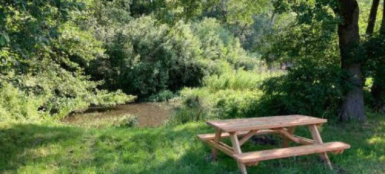 In der Wassermühle图片