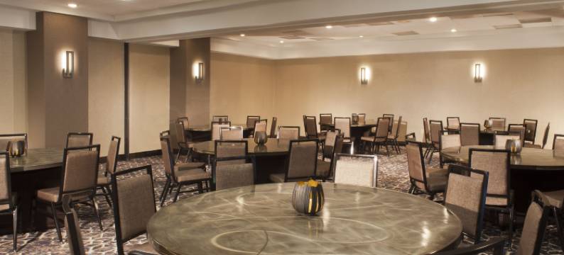 休斯顿希尔顿安泊套房酒店-近加勒里亚(Embassy Suites by Hilton Houston Near the Galleria)图片