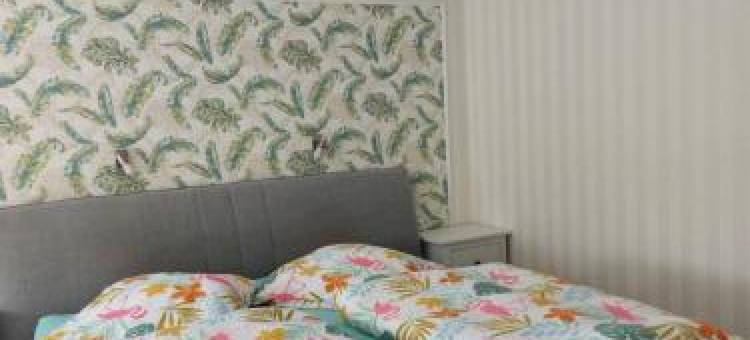 贝尔泽旅馆(Pension Belzer)图片