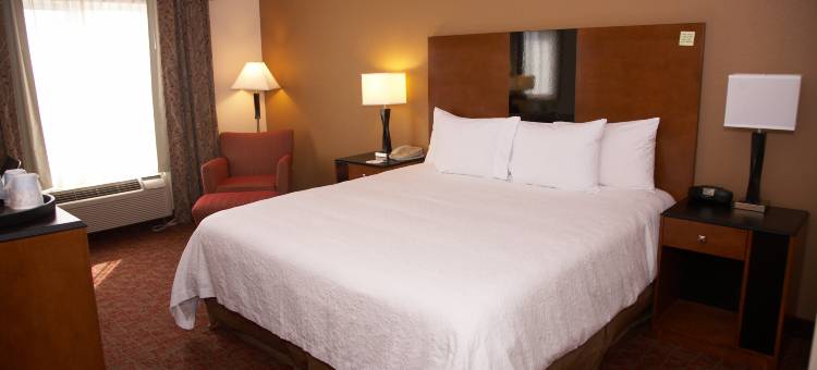 霍布斯欢朋酒店及套房(Hampton Inn & Suites Hobbs)图片