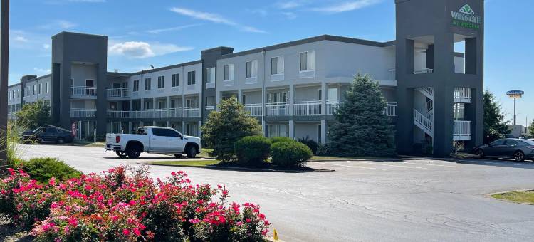 代顿北蔚景温德姆酒店(Wingate by Wyndham Dayton North)图片