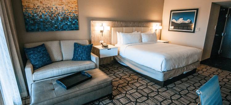 拉伯克大学区希尔顿逸林酒店(DoubleTree by Hilton Lubbock University Area)图片