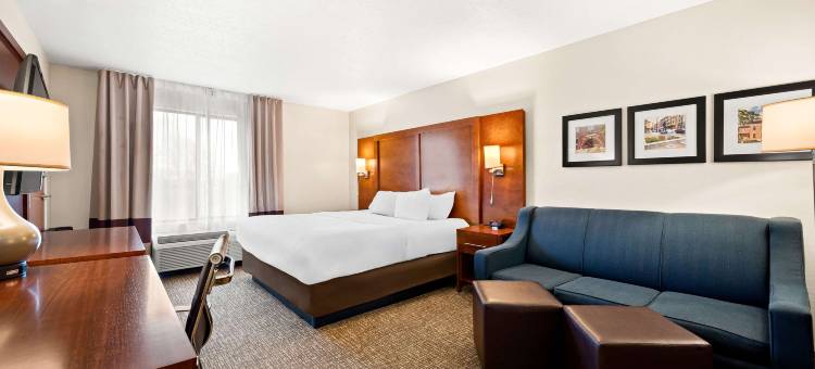 迪凯特-福赛斯舒适套房酒店(Comfort Inn & Suites Decatur-Forsyth)图片