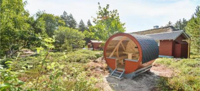 洛莫度假屋 * LXX *(Holiday Home Romo LXX)图片