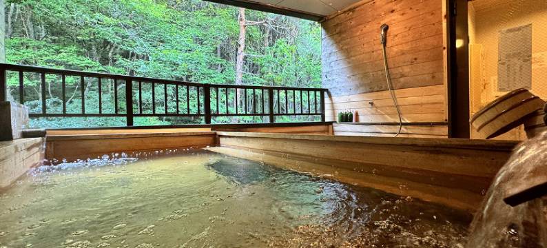 岩寿莊日式旅馆(Iwasu-so)图片