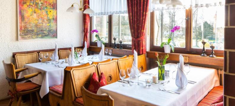 茵维特洛文弗赖堡酒店(Hotel Schwärs Löwen Freiburg)图片