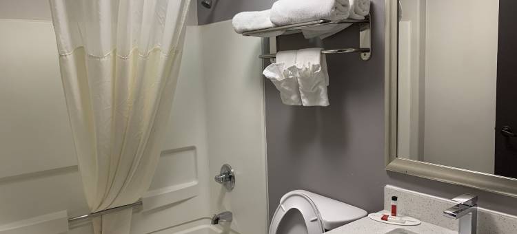 克拉克斯维尔麦客达温德姆酒店(Microtel Inn & Suites by Wyndham Clarksville)图片