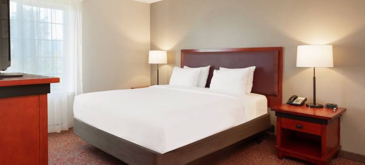 拉克斯珀兰丁长住套房酒店森尼维耳(Larkspur Landing Extended Stay Suites Sunnyvale)图片