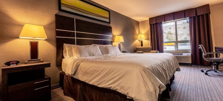 Holiday Inn Express 金(Holiday Inn Express Golden-Kicking Horse)图片