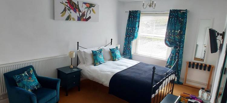 摄政旅馆(Regency Guest House)图片