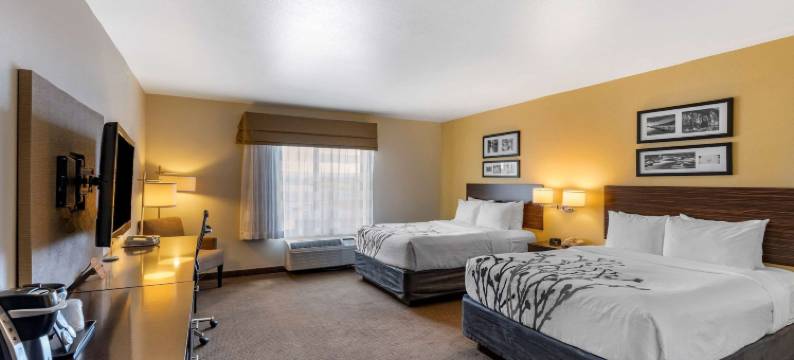 Miles City I-94 的舒眠套房酒店(Sleep Inn & Suites Miles City I-94)图片