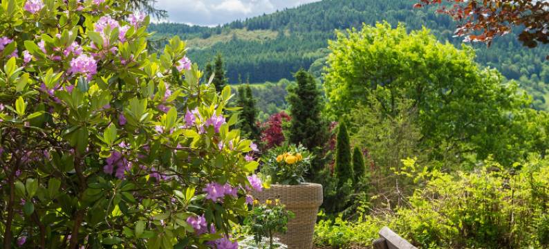 芳酒店(Hotel am Fang)图片