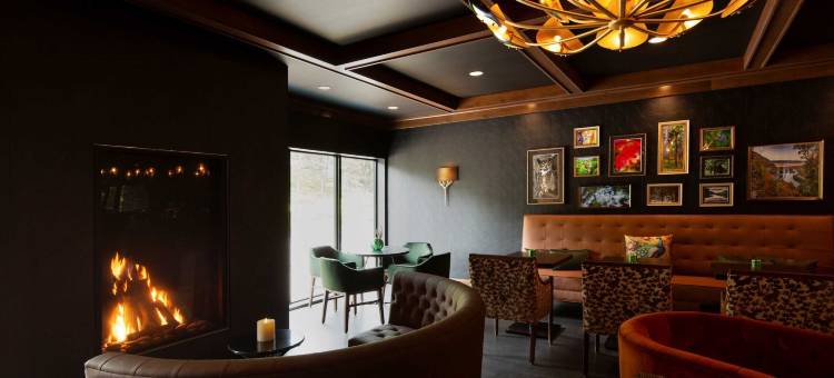 斯威夫特河旅馆(The Swiftwater)图片