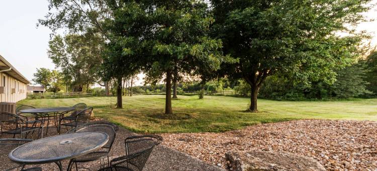 希金斯维尔速8酒店(Super 8 by Wyndham Higginsville)图片