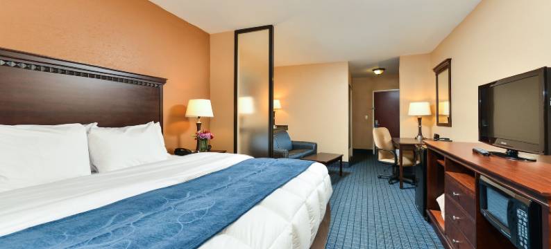 博福特-近帕里斯岛舒适套房酒店(Comfort Suites Near Mcas Beaufort)图片