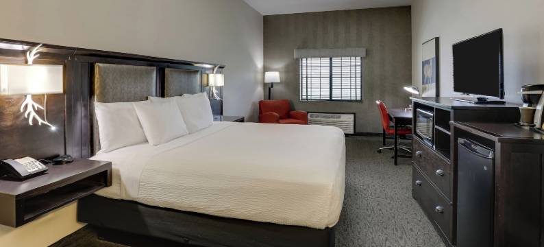 堪萨斯城 - 独立镇区石溪酒店(Stoney Creek Hotel Kansas City - Independence)图片