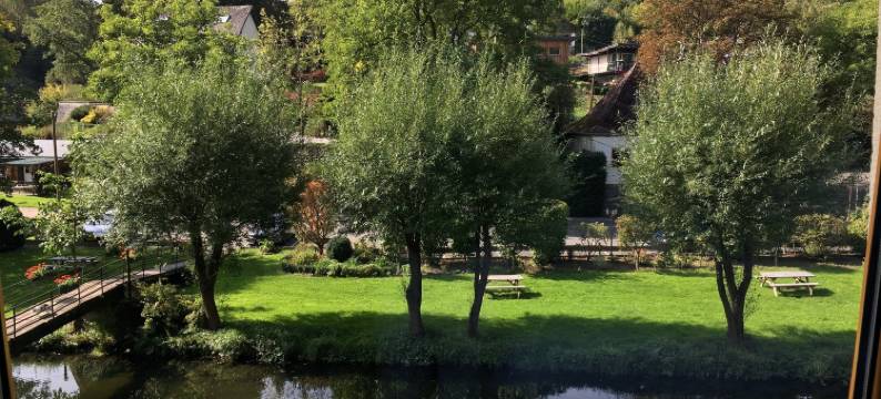 德霸基普雷哥酒店(Hotel Dirbach Plage)图片