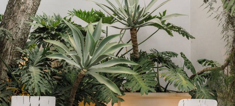 玛蒂尔达酒店，Design Hotels 成员(Hotel Matilda, a Member of Design Hotels)图片