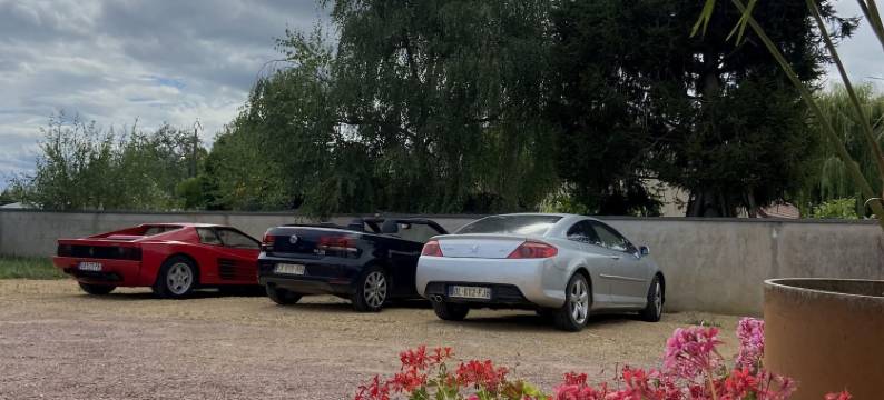 Hôtel du Cerf，鹿酒店(Hôtel du Cerf)图片