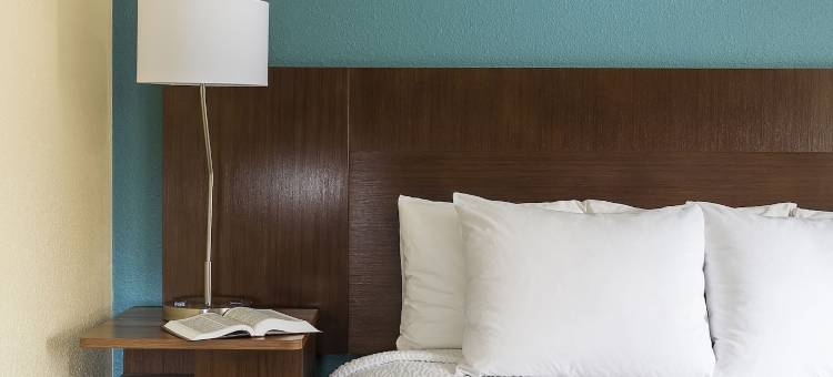 芝加哥丁雷公园万枫酒店(Fairfield Inn & Suites Chicago Tinley Park)图片