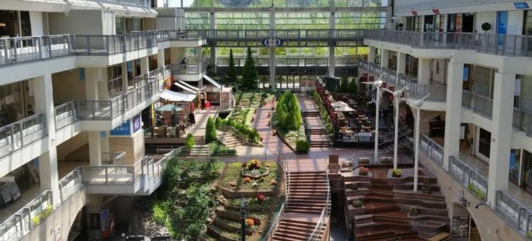 舒适便捷皇家高地(Cozy and Convenient Royal Heights)图片