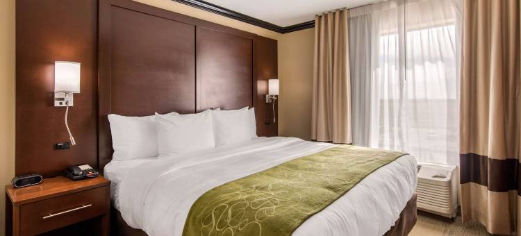 舒适套房酒店(Comfort Suites)图片